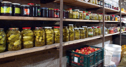 Pagrabā vienkopus tiek uzglabāts daudz dažādu produktu, līdz ar to ir labvēlīga vide, kur izplatīties dažādām slimībām