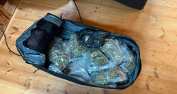 Valsts policijas izņemtā marihuāna. Valsts policijas izņemtā marihuāna.