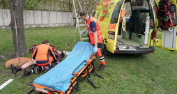 Latvijā jau šobrīd ir ārsta palīgi – plaša profila medicīnas speciālisti, kas strādā ambulatorajās medicīnas iestādēs, ģimenes ārstu praksēs, slimnīcu uzņemšanas nodaļās, NMPD un citur. Iecere noteikt Latvijā paramediķim augstākas zināšanas un prasmes nekā ārsta palīgiem rada bažas par ārsta palīga profesijas statusa un nozīmes mazināšanu. Latvijā jau šobrīd ir ārsta palīgi – plaša profila medicīnas speciālisti, kas strādā ambulatorajās medicīnas iestādēs, ģimenes ārstu praksēs, slimnīcu uzņemšanas nodaļās, NMPD un citur. Iecere noteikt Latvijā paramediķim augstākas zināšanas un prasmes nekā ārsta palīgiem rada bažas par ārsta palīga profesijas statusa un nozīmes mazināšanu.