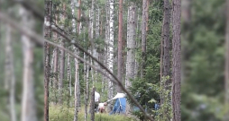 Migranti mežā bija uzceluši telti un iekārtojuši apmetnes vietu ar grilu. 