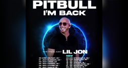 Pitbull. Pitbull.