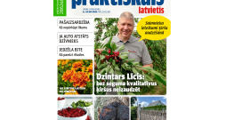 "Praktiskais Latvietis" Nr. 31, 2026.