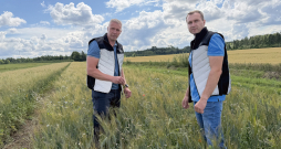 AS "Dobeles dzirnavnieks" agronomi Ģirts Šteinbergs (no kreisās) un Artis Vilbrants jaunās cieto kviešu līnijas laukā vērtē augu veselību. AS "Dobeles dzirnavnieks" agronomi Ģirts Šteinbergs (no kreisās) un Artis Vilbrants jaunās cieto kviešu līnijas laukā vērtē augu veselību.