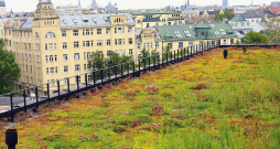 Pilsētas vidē aizvien populārāki kļūst dzīvi, zaļojoši, ziedoši jumti. Uzņēmuma "Green Urban" veidotais zāliens uz "New Hanza" biroja ēkas Rīgā ne tikai iekrāso urbāno ainavu, bet arī sargā ēku no pārkaršanas vasarā vai izsalšanas ziemā, ceļot nama energoefektivitāti. Lai gan segums ir dabisks, jāņem vērā, ka šāds risinājums paģēr lielāku būvkonstrukciju nestspēju, kas savukārt var nozīmēt arī, piemēram, lielāku betona patēriņu.