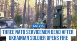 Video vizuāli un stilistiski ļoti atgādina "Euronews" sižetu, izmantots arī šā kanāla logo un tam raksturīgās videopārejas. 