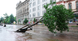 22. augusta vētras postījumi Rīgā. 22. augusta vētras postījumi Rīgā.