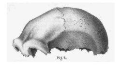 Neandertālieša galvaskausa fragments 19. gs. zīmējumā.