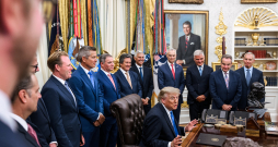 Donalds Tramps. Donalds Tramps.