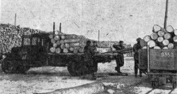Baļķu iekraušana Bauskas dzelzceļa stacijā 1955. gadā.