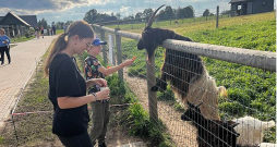 "Siguldas zoo" ar burkāniem var pabarot Holandes pundurkazas un kazlēnus.