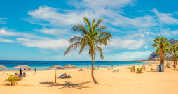 Tenerife. Tenerife.