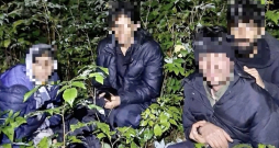 Piesaistot robežsargu kinologu ar dienesta suni, tuvējā mežā tika atrastas četras personas bez derīgiem dokumentiem. 
