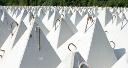 Pūķa zobi. Ilustratīvs attēls. Pūķa zobi. Ilustratīvs attēls.
