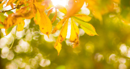 Rudens.