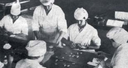 "Gotiņu" cehs Skrīveros 1983. gadā.