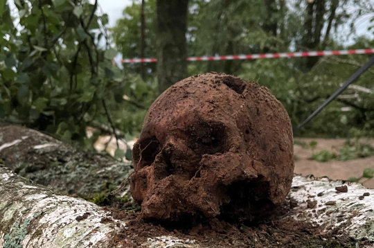 Bauskas pilskalnā atrastais cilvēka galvaskauss pēc 11. jūlija vētras.