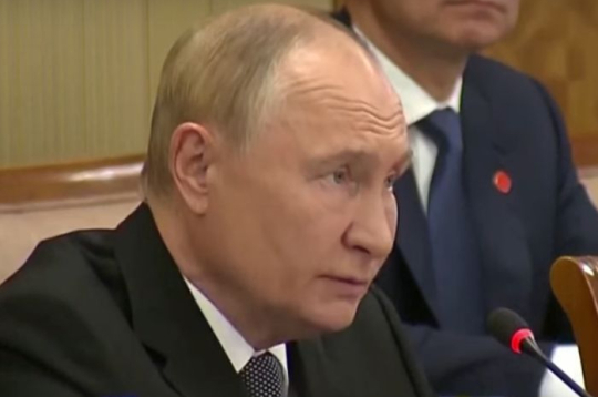 Vladimirs Putins.