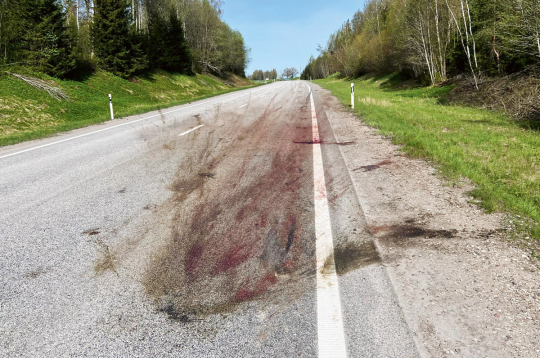 Katru gadu uz Eiropas ceļiem iet bojā simtiem tūkstošu savvaļas dzīvnieku. 