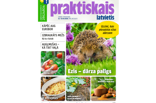 Jaunā žurnāla vāks.