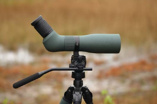 AT Endura 21–65x75.