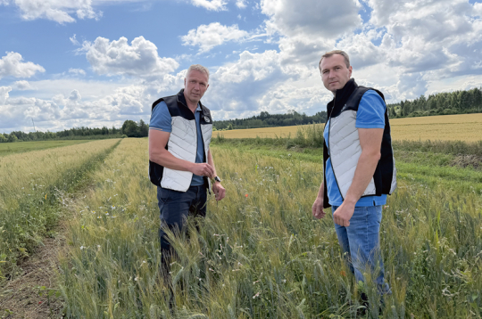 AS "Dobeles dzirnavnieks" agronomi Ģirts Šteinbergs (no kreisās) un Artis Vilbrants jaunās cieto kviešu līnijas laukā vērtē augu veselību. AS "Dobeles dzirnavnieks" agronomi Ģirts Šteinbergs (no kreisās) un Artis Vilbrants jaunās cieto kviešu līnijas laukā vērtē augu veselību.