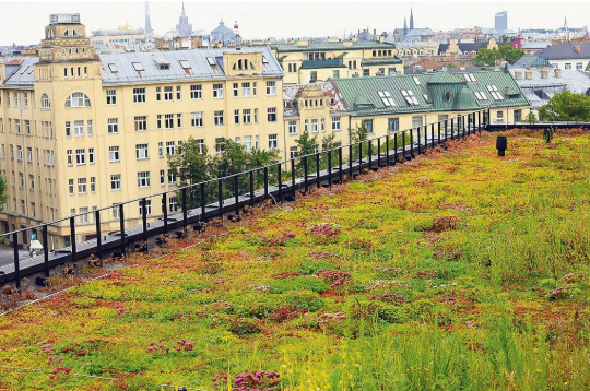 Pilsētas vidē aizvien populārāki kļūst dzīvi, zaļojoši, ziedoši jumti. Uzņēmuma "Green Urban" veidotais zāliens uz "New Hanza" biroja ēkas Rīgā ne tikai iekrāso urbāno ainavu, bet arī sargā ēku no pārkaršanas vasarā vai izsalšanas ziemā, ceļot nama energoefektivitāti. Lai gan segums ir dabisks, jāņem vērā, ka šāds risinājums paģēr lielāku būvkonstrukciju nestspēju, kas savukārt var nozīmēt arī, piemēram, lielāku betona patēriņu.
