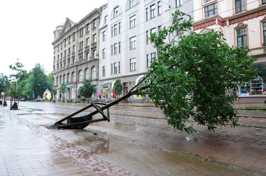 22. augusta vētras postījumi Rīgā. 22. augusta vētras postījumi Rīgā.