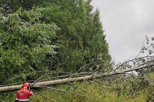Vēja lauztie koki krita arī uz augstsprieguma līnijām. Tikai tad, kad atjaunots spriegums "Augstsprieguma tīkla" apakšstacijās, tālāk var darboties "Sadales tīkls".