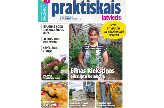 "Praktiskais Latvietis" Nr. 36, 2026.