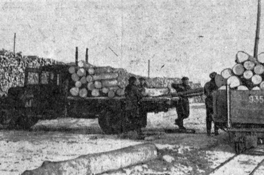 Baļķu iekraušana Bauskas dzelzceļa stacijā 1955. gadā.