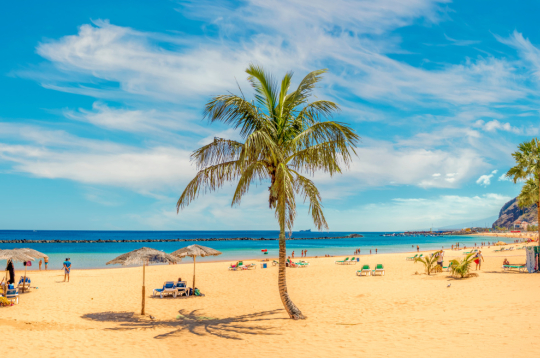 Tenerife. Tenerife.