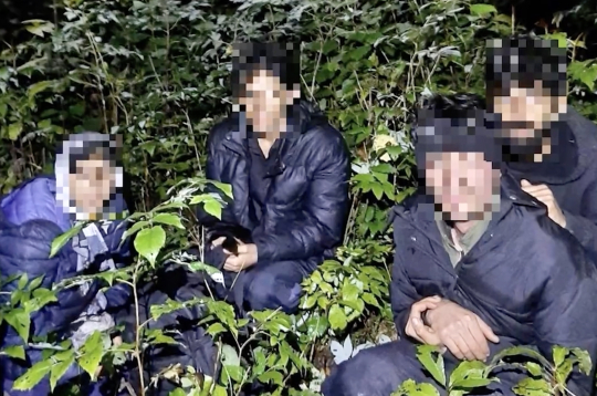 Piesaistot robežsargu kinologu ar dienesta suni, tuvējā mežā tika atrastas četras personas bez derīgiem dokumentiem. 