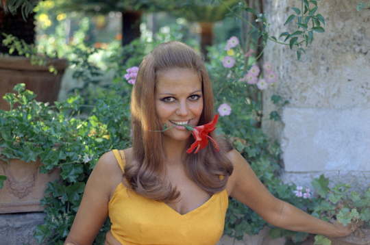 Klaudija Kardināle 1968. gadā. Klaudija Kardināle 1968. gadā.