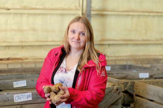 Lāsma Jefimova: "Šāgada kartupeļu sezonas sākums bija ideāls: labs pavasaris, augi ļoti labi attīstījās. Tomēr lietavas kopš jūlija beigām raisa izaicinājumus. Netiekam ar kombainu uz laukiem. Ja dabas apstākļi neuzlabosies, arī šajā gadā sausām kājām no situācijas neizkļūsim."