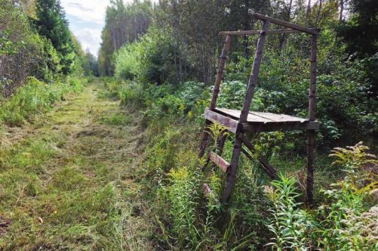 Medībās ar traucēšanu var izmantot arī stāvtornīšus, taču tādā pavadīt vairākas stundas nav ērti. Arī dzīvniekam pamanīt mednieku tajā ir vienkāršāk. Labāka izvēle ir augstāki torņi.