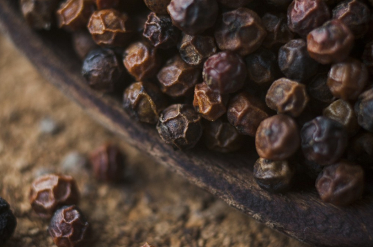 Kambodžas sarkanie pipari ir nogatavinātas piparauga ogas ar izteiksmīgu augļu aromātu, kurā jūtamas karameļu, medus un vaniļas saldās notis. Kambodžas sarkanie pipari ir nogatavinātas piparauga ogas ar izteiksmīgu augļu aromātu, kurā jūtamas karameļu, medus un vaniļas saldās notis.