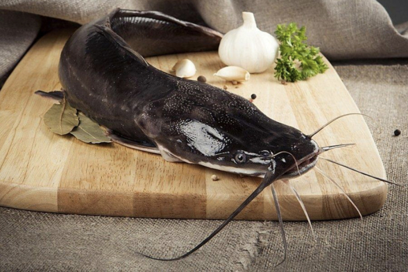 "Mūnu" sami "Mūnu" sami