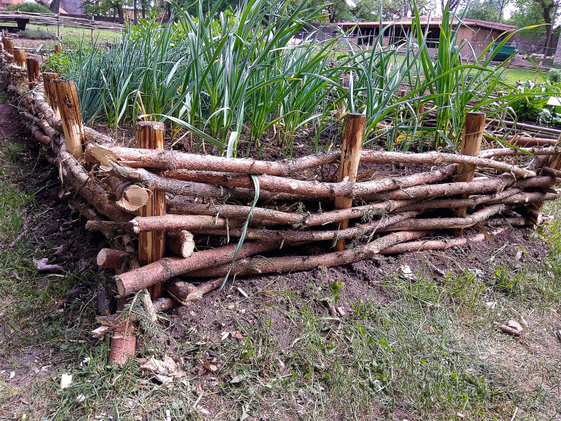 Malu pinums no egļu zariem. Ilgmūžīgāks nekā lazdu kārtiņas, taču grūtāk izveidojams. Malu pinums no egļu zariem. Ilgmūžīgāks nekā lazdu kārtiņas, taču grūtāk izveidojams.