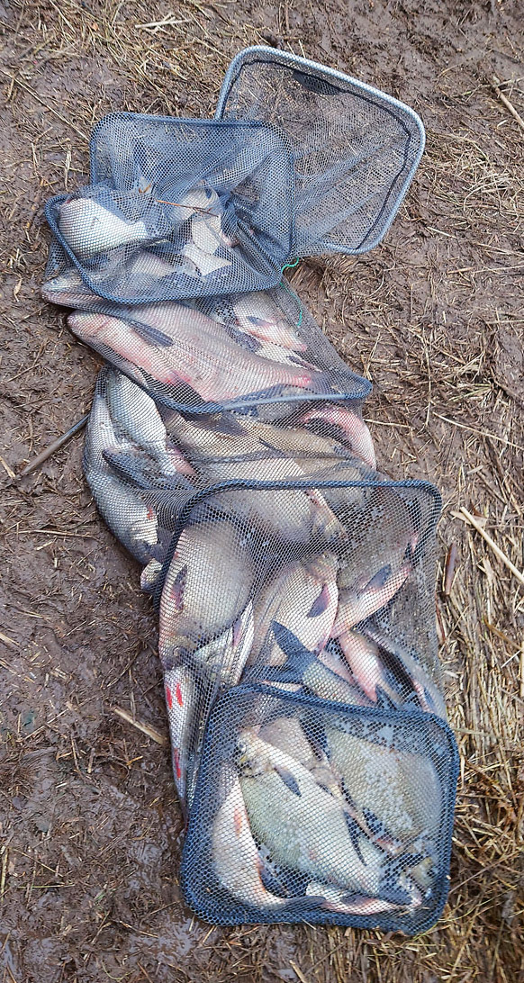 Rezultāts, kad zivis negribēja ķerties, bet copmanis atrada pareizo pieeju. Rezultāts, kad zivis negribēja ķerties, bet copmanis atrada pareizo pieeju.