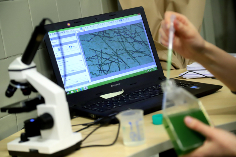 Lai saprastu, kā jūtas spirulīnas, tās ik pa laikam izpēta mikroskopā: datorā redzams aļģu vijīgais pavediens. Lai saprastu, kā jūtas spirulīnas, tās ik pa laikam izpēta mikroskopā: datorā redzams aļģu vijīgais pavediens.