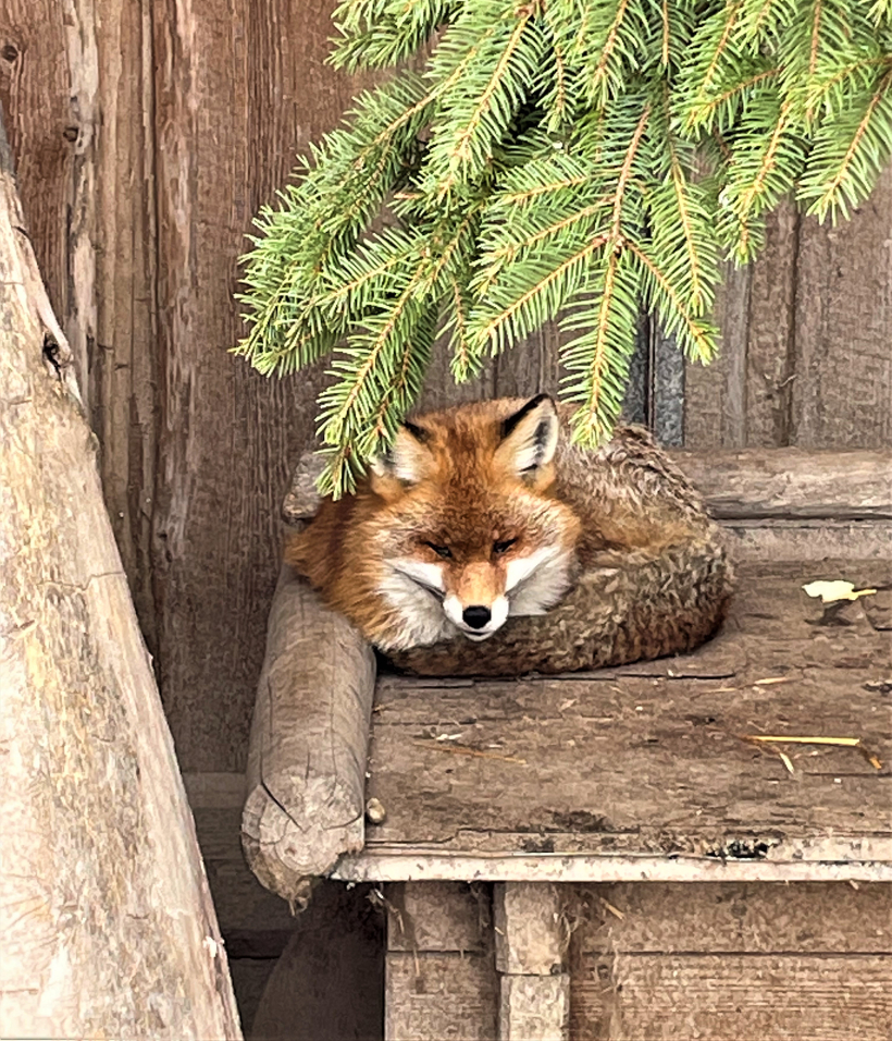 Rīgas Zooloģiskā dārza filiāle "Cīruļi".