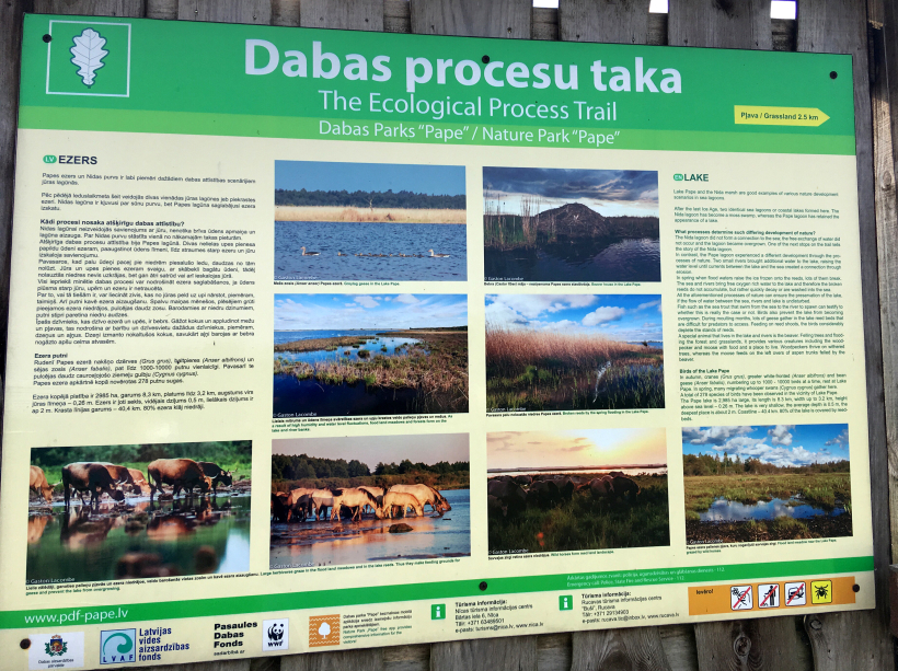 Dabas procesu taka.