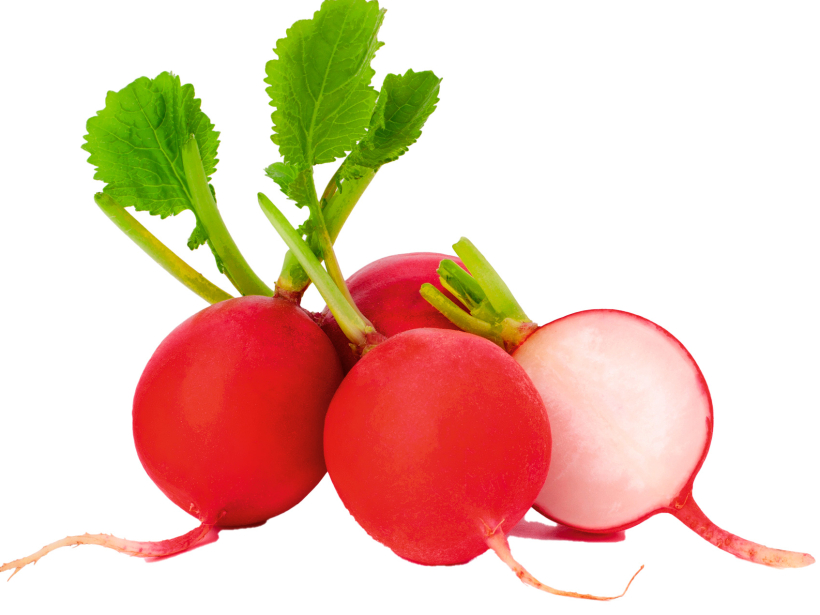Redīsi.