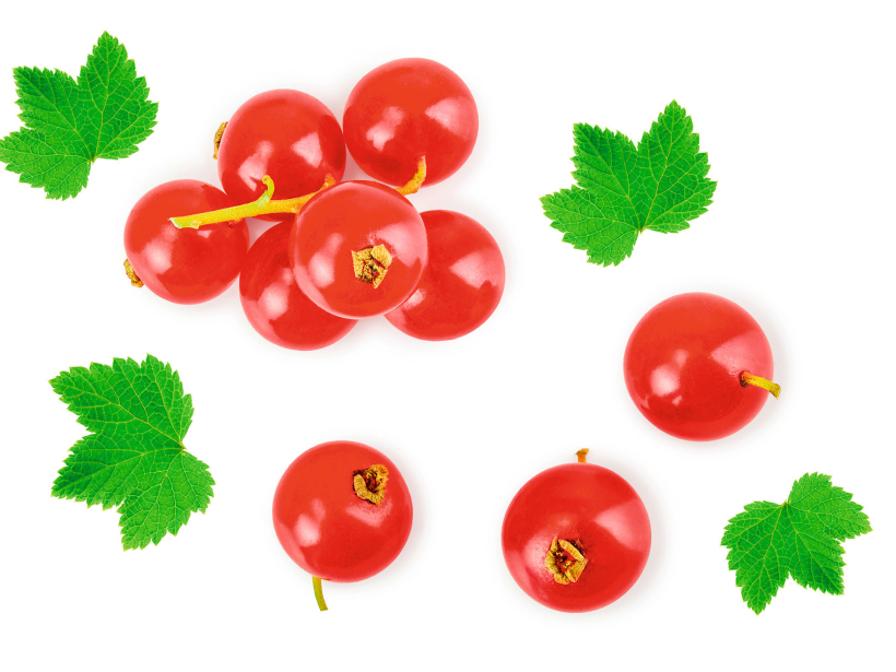 Jāņogas. Jāņogas.