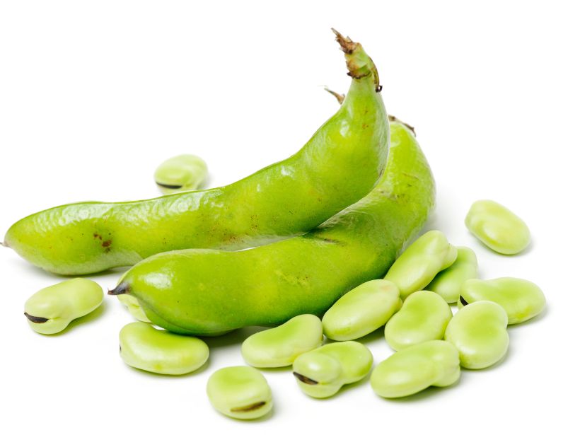 Cūku pupas. Cūku pupas.