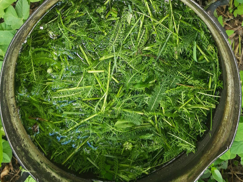 Novārījums. Novārījums.