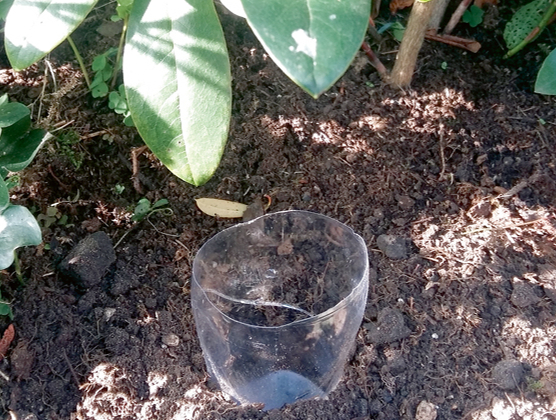 Ieraktā pudele. Ieraktā pudele.