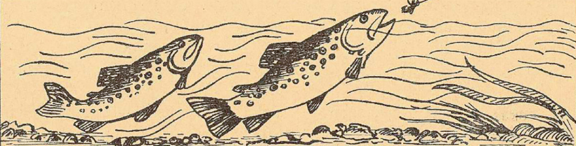 Ilustrācija izdevumā "Mednieks un Makšķernieks" (01.10.1939.). Ilustrācija izdevumā "Mednieks un Makšķernieks" (01.10.1939.).