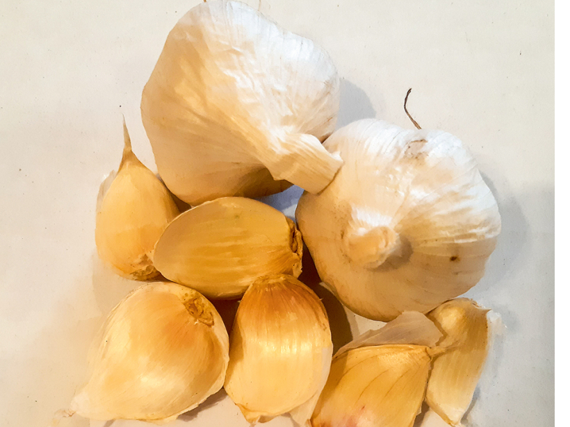 Šķirne 'Cledor'.