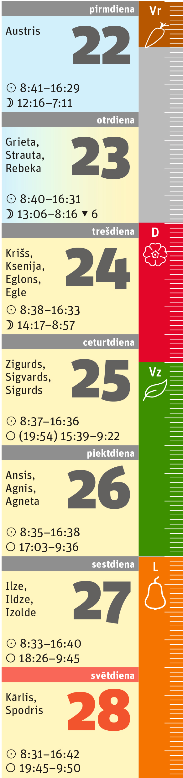 4. nedēļa.
